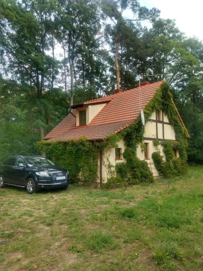 Zolty Domek Nad Jeziorem Lubniewice Dış mekan fotoğraf